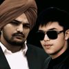 doni_295_sidhu