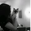monisamal_