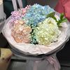 flora_blh