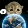 .ghann2