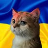 ermakov.illya