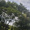 myloversgsky