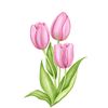 mrenges112