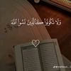 kavan_officiel_