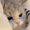 tniii_meecy