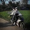 van_tinh205