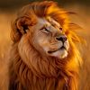 alimov_57