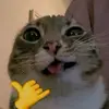 meripatt