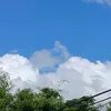 xinggaiao_902