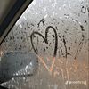 loov.22