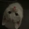 ngockqhbm6t