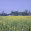 md.shimul.skr