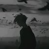 akira.rothchild