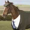 memes_caballo