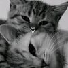 maram77941