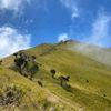 keong.gunung13