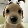 toca.mmatea