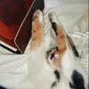 rosie.wakeman8
