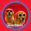 miautidos