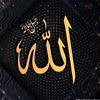 user6672146163778