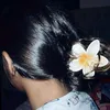 www.vivi.09