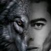 🐺 Loup solitaire 🐺