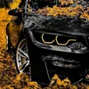hasen.hasen918