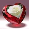user7740336348041