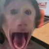 magorzatag66