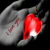 user57343845103005
