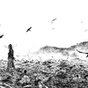 musachi76