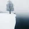 nabazmohamad5