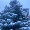 sagie_86
