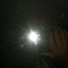 pxulet.10