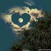 user13313392424537