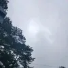 notification52722