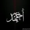 user4913030657822