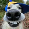 traideptoptop_