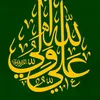 shirazi20313