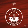 piglinsfc