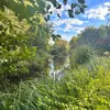 olivebellemore22