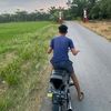 kingding470
