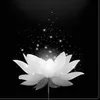 nguyn.minh.tn927