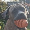 everythingisrosie1