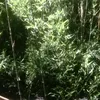 xinhgaiquama152