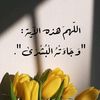 user7691016226620