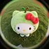 minh_hagg13