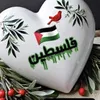 sanfora_xaah