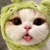 mai.anh0977