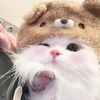 whiskerlaugh.s